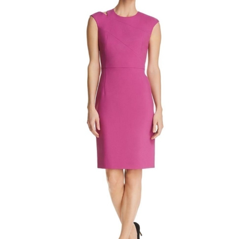Boss Hugo‎ Dress purple size 8 petite cap sleeve Danouk lined
